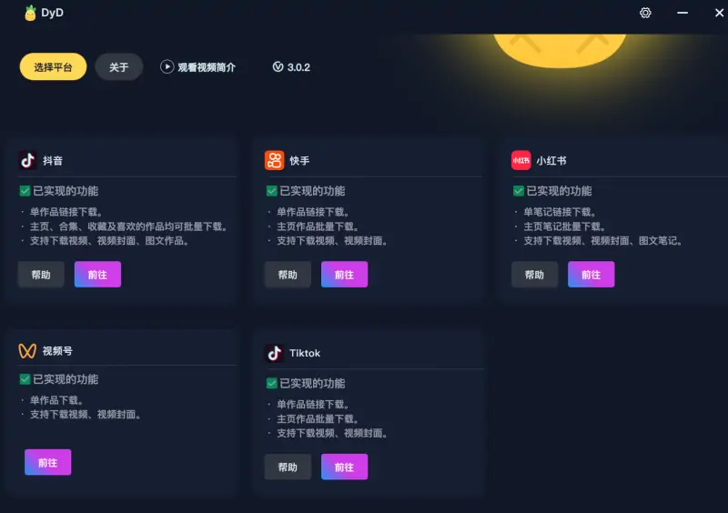 DyD 多平台批量无水印视频图集下载器：一站式下载利器示例图