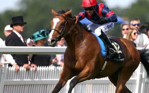 奇点娱乐-飞艇赛马