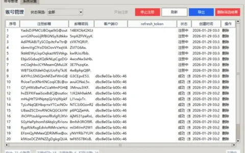 微软全协议自动化注册系统：开启高效跨境营销新纪元示例图4